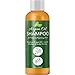 Argan Oil Shampoo for Oily Hair + Scalp - Sulfate Free Clarifying Shampoo for Greasy Hair - Volume Shampoo for Men + Women - Therapeutic Jojoba & Keratin for Strength - Salon Quality Natural Hair Care