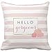 Hello Gorgeous Pink Stripe Blush Peony Floral Throw 1818 pillow Case
