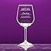 National Etching Funny Wine Glass with “Classy, Sassy, Smart-Assy” Gauge Saying, Classic Stemmed Wine Glass for Women and Men