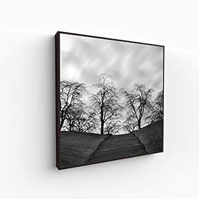 Canvas Wall Art for Living Room, Bedroom Monochrome Image Framed Canvas Prints for Home Decoration Ready to Hang - 16x16 inches