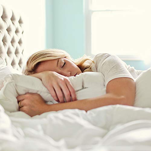 Charisma Luxe Down Alternative Gel Filled Chamber 2Pack Pillow