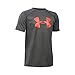 Under Armour UA Tech Big Logo YMD Carbon Heather