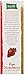 Kashi, TLC Ripe Strawberry Cereal Bars, 6 ct, 7.2 oz