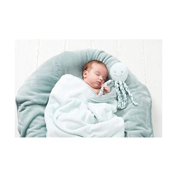 Nattou Kuscheltier Oktopus, Für Neugeborene und Frühchen, 23 cm, Mintgrün – Bild 3