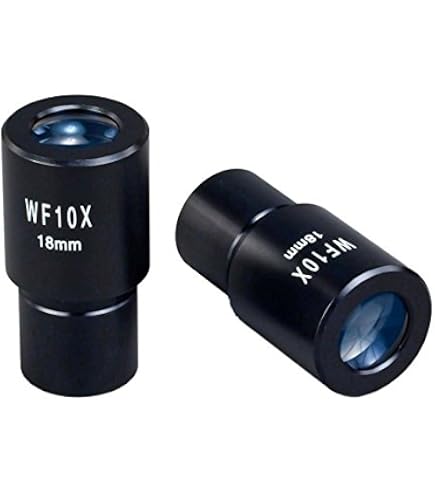 Amscope 40X-2500X LED Dijital Binoküler Bileşik Mikroskop 0.3MP Kamera