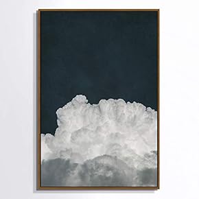 signwin Framed Canvas Wall Art Beautiful Cloud on...
