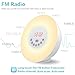 Alarm Clock/Wake Up Light-LBell Sunrise Simulation Alarm Clock, Clock Radio, 7 Colors Night Light with FM Radio, 7 Alarm Sounds and Snooze Function for Bedrooms with USB Charger