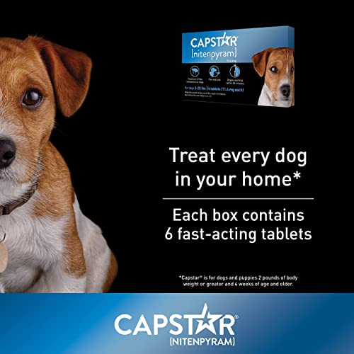 Capstar (nitenpyram) for Dogs, FastActing Oral Flea Treatment for Dogs