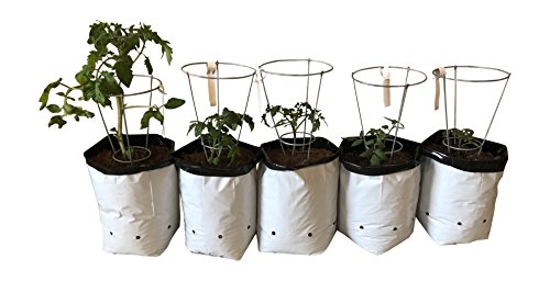 Small Plant Garden Starter Kit- Mini Wire Tomato Support Cage (5), 1-gallon Grow Bags (5) and Tiny White Hanging Plastic Identification Tags (5)-Container Patio Gardening Set