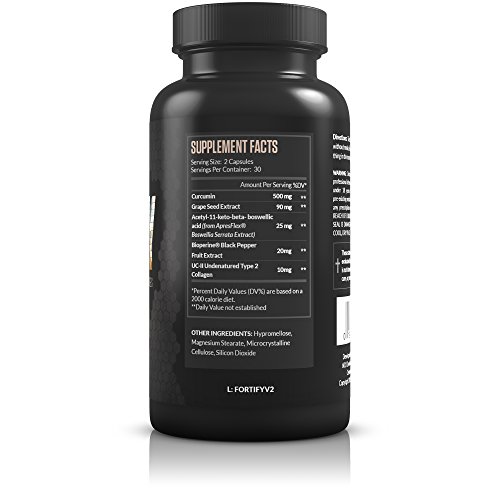 Legion Fortify Joint Pain Supplement Best Natural Remedy for Anti Inflammation and Improving