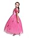 Dressy Daisy Girls' Princess Aurora Costume Princess Dress Halloween Fancy Dress Up Size 6X / 8