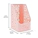 Saim Plastic Hollow Pattern Desktop Organizer Storage Box, Letter Size File or Smaller Magazines Holder Desk Storage Container