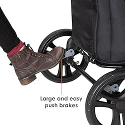 Baby Trend Expedition 2-in-1 Stroller Wagon