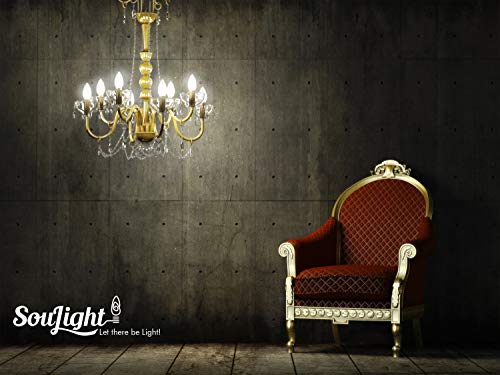E12 LED Bulbs - Candelabra Light Bulbs, 7 Watt Equivalent 60W Incandescent Bulb, B11 560 Lumens, Daylight White 5000K, Candelabra Base, Non-dimmable, Chandelier&Ceiling Fan Replacement Bulb. 6 Pack.