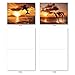 The Best Card Company - 10 Blank Animal Cards Boxed (4 x 5.12 Inch) - Assorted Pets, Zoo, Wildlife Cards for Kids - Sunset Dolphins M6460OCB-NB