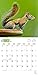 Squirrels 2018 Calendar
