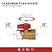 Flextron FTGV-01F01F Gas Ball Valve, 1 x 1-Inch
