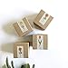 Rose YlangYlang Gift Set, Solid Lotion & Lip Balm - All Natural Organic - Gift for Co workers