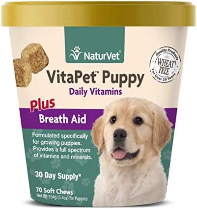soft food for puppies