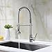 Avola Kitchen Faucet, Kitchen Sink Faucet,Brass Spring Kitchen Faucet with Sprayer