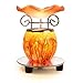 Dpnamron Electric Oil Warmer/Orange