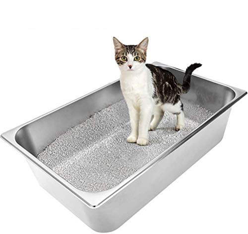 large size litter box