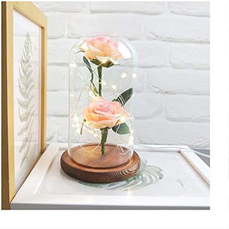 Chococolate Beauty and the Beast Romantic Pink Rose Preserved Fresh Rose Flower LED Landscape Lamp with Wooden Base and Glass Cover Micro Landscape for Valentine's Day Birthday Wedding Party Gifts