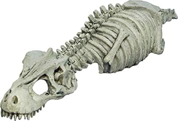 PETBLIS Esqueleto Dinosaurio