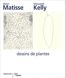 Henri Matisse, Ellsworth Kelly