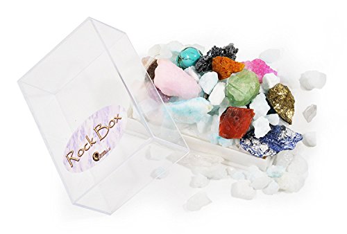 Fossil, Rock & Gemstone Box by Fossil Gift Shop