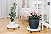 T4U 12.5 Inch White Plant Dolly Planter Caddies with Wheels Pack of 4, Plastic Flower Pot Stand Set Indoor Outdoor, Movable Planter Stand Plant Rack on Rollers Planter Trolley Casters Rolling Traythumb 2