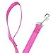 ITERY Dog Leash, Pet Durable Leash Strap for Puppy Pet Leash Rope 6-feet Long 3/4 Inch Wide (Hot Pink, 6 Feet)