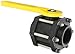 Banjo V200FP Polypropylene Ball Valve, Three Piece, Full Port, 2