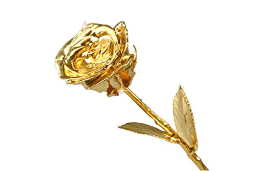 VintFlea 24K Gold Real Rose Long Stem, Heart Shape Stand With Creative Box For Valentine With Warranty