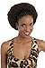 Vivica A Fox Hair Collection HKBK16-V Human Hair Afro Curl Kinky Bulk Extension, 4, 5.8 Ounce