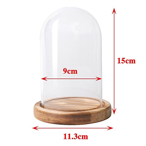 Reelva Decorative Clear Glass Cloche Bell Jar Display Case (D9H15cm)