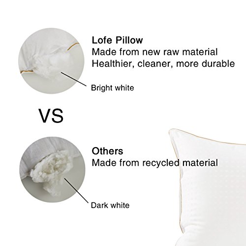 Lofe Adjustable Side Sleeper Pillow Hotel Collection - Goose Down Alternative Pillow 2 pack - Hypoallergenic Hospital Bunk Bed Pillow for Stomach Sleeping Queen Size