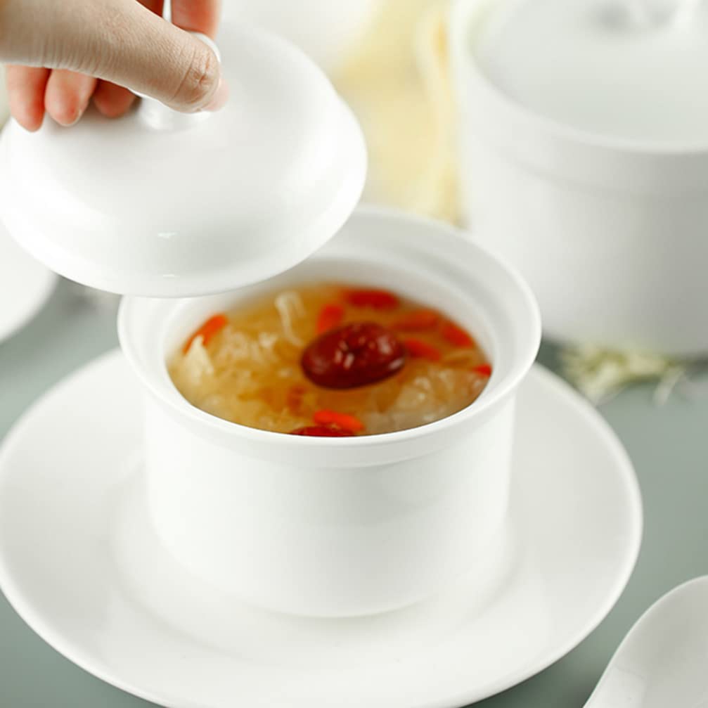 Ceramic Stew Pot with Lid Steam Soup Bowl Steaming Cup Stockpot Cooking Earthen Casserole Pot for Home Kitchen Egg Custard Medicinal Birds Nest 580ml
