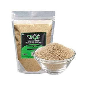 GreenFinity® Baker’s Active Dry Yeast, 50g [Bakers Quality] Free Shipping