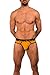 Lumber Collection - AnatoFREE Hipster Brief - Old Gold - Xlarge