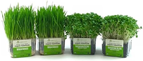 Organic Wheatgrass/Microgreen Combo Growing Kit - Value 4-Pack, Non-GMO, Nutrient Rich, Ready to eat in 5-7 days