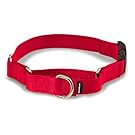 PetSafe Martingale Collar with Quick Snap Buckle, 1" Large, Red