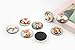 FF Elaine 10 Pcs Fridge Magnets Crystal Glass Housewarming Home Decorations Gift (Fox)