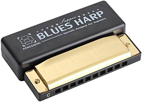 Astylway Blues Harp Diatonic Harmonica For Beginner 10 Holes Harp Key Of C Gold
