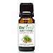 BioFinest Fennel Oil - 100% Pure Fennel Essential Oil - Premium Quality - Therapeutic Grade - Best For Aromatherapy - FREE E-Book (10ml)