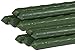 Gardener's Blue Ribbon ST8BULK Bulk Sturdy Stakes, 8-Feet (10 Pack)