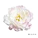ShareProfit Simulation Silk Flower Peony Flower Head Hat Clothing Accessories Random Color
