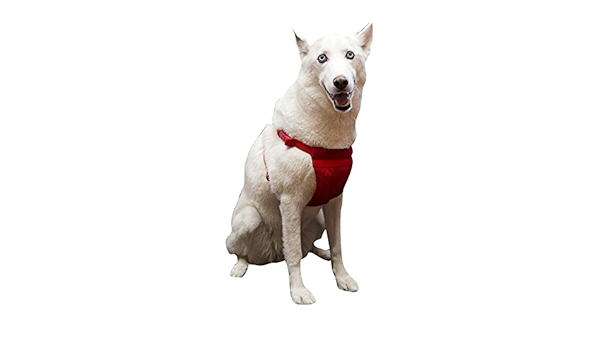 sporn comfort harness