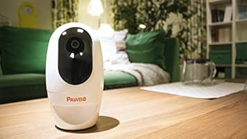 pawbo pet camera australia
