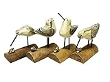 Beach Carved Wooden Seagull SANDPIPER sand piper BIRDS - Set of 4 - 6"H